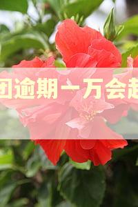 美团逾期一万会起诉吗