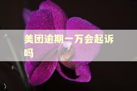 美团逾期一万会起诉吗