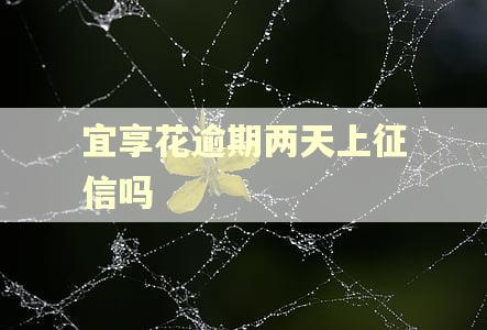 宜享花逾期两天上征信吗