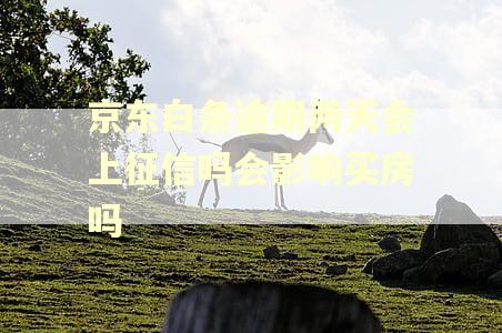 京东白条逾期两天会上征信吗会影响买房吗