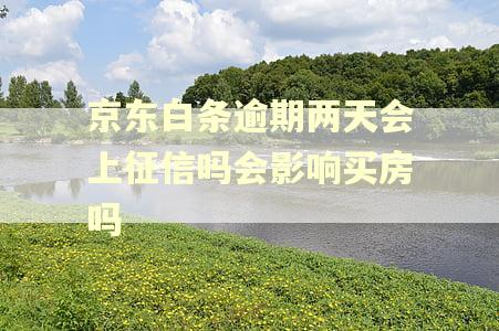 京东白条逾期两天会上征信吗会影响买房吗