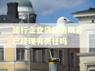 建行企业贷款逾期客户经理有责任吗