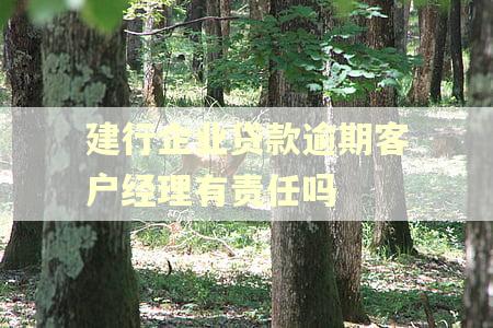 建行企业贷款逾期客户经理有责任吗