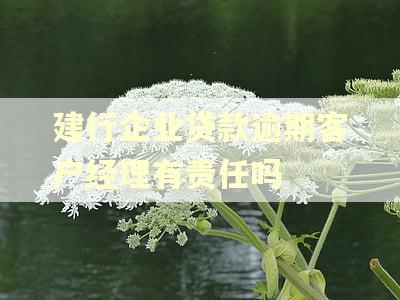 建行企业贷款逾期客户经理有责任吗
