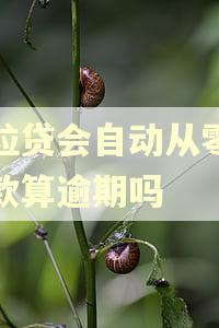微粒贷会自动从零钱扣款算逾期吗