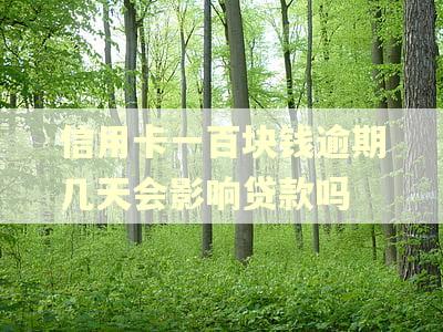 信用卡一百块钱逾期几天会影响贷款吗