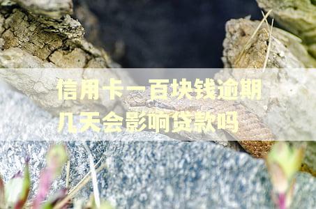 信用卡一百块钱逾期几天会影响贷款吗
