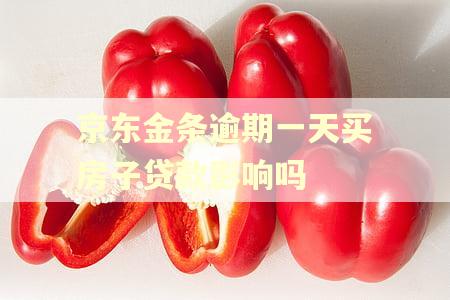 京东金条逾期一天买房子贷款影响吗