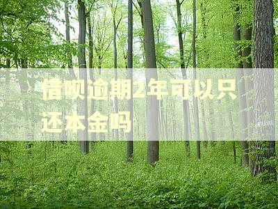 借呗逾期2年可以只还本金吗 借呗逾期2年可以只还本金吗