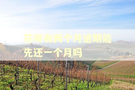 花呗有两个月逾期能先还一个月吗