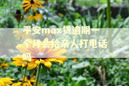 平安max贷逾期一个月会给亲人打电话吗