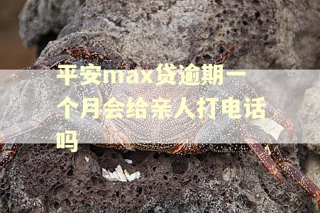 平安max贷逾期一个月会给亲人打电话吗 平安max贷逾期一个月会给亲人打电话吗