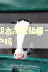逾期六次是指用一个账户吗