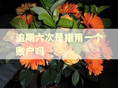 逾期六次是指用一个账户吗