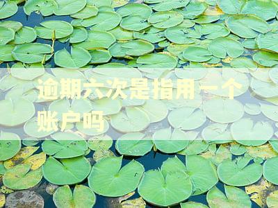 逾期六次是指用一个账户吗