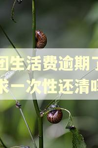 美团生活费逾期了会要求一次性还清吗