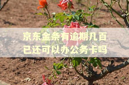 京东金条有逾期几百已还可以办公务卡吗