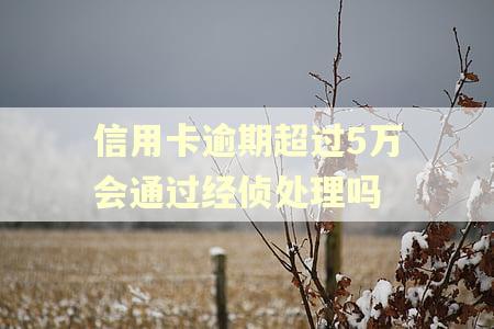 信用卡逾期超过5万会通过经侦处理吗
