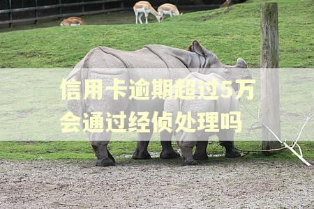 信用卡逾期超过5万会通过经侦处理吗