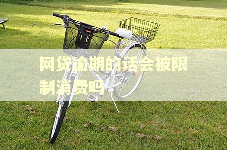 网贷逾期的话会被限制消费吗