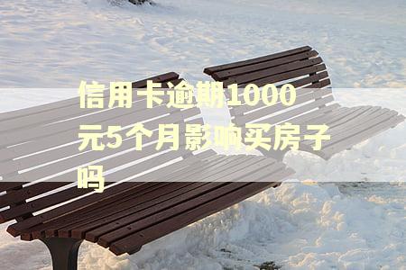 信用卡逾期1000元5个月影响买房子吗