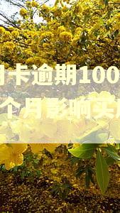 信用卡逾期1000元5个月影响买房子吗 信用卡逾期1000元5个月影响买房子吗