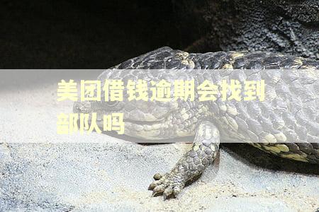 美团借钱逾期会找到部队吗