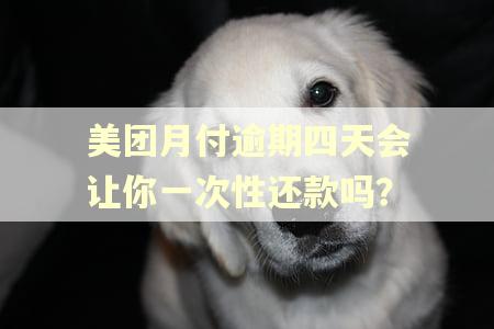 美团月付逾期四天会让你一次性还款吗？