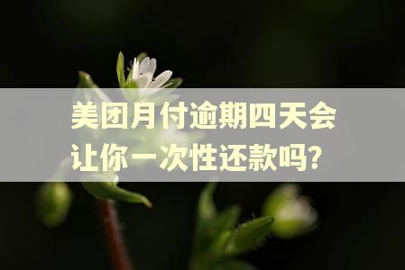 美团月付逾期四天会让你一次性还款吗？