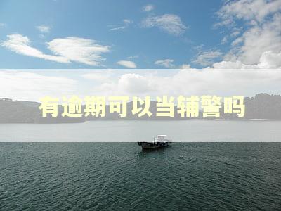 有逾期可以当辅警吗