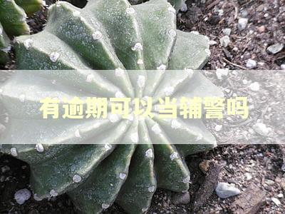 有逾期可以当辅警吗
