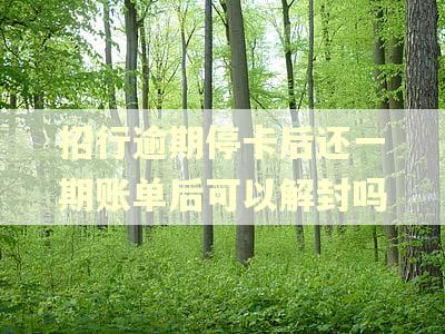 招行逾期停卡后还一期账单后可以解封吗