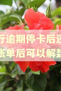 招行逾期停卡后还一期账单后可以解封吗 招行逾期停卡后还一期账单后可以解封吗