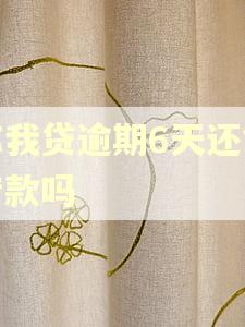 你我贷逾期6天还能借款吗