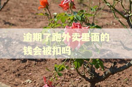 逾期了跑外卖里面的钱会被扣吗 逾期了跑外卖里面的钱会被扣吗