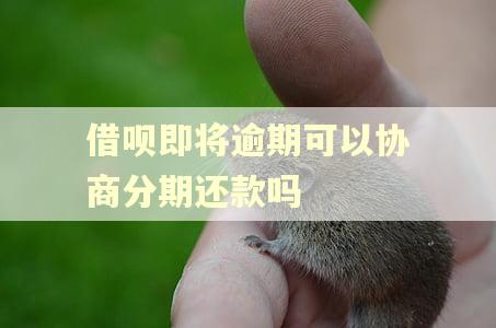 借呗即将逾期可以协商分期还款吗
