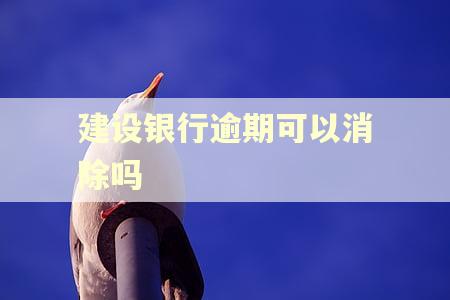 建设银行逾期可以消除吗