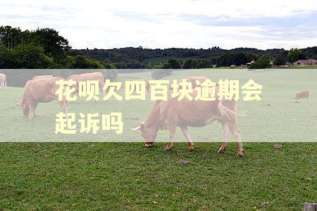 花呗欠四百块逾期会起诉吗