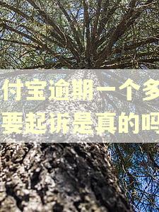 支付宝逾期一个多月说要起诉是真的吗