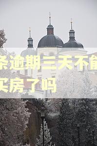 白条逾期三天不能贷款买房了吗