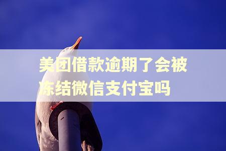 美团借款逾期了会被冻结微信支付宝吗 美团借款逾期了会被冻结微信支付宝吗
