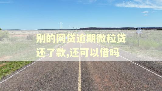别的网贷逾期微粒贷还了款,还可以借吗