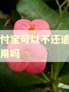 支付宝可以不还逾期费用吗