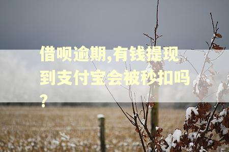 借呗逾期,有钱提现到支付宝会被秒扣吗?
