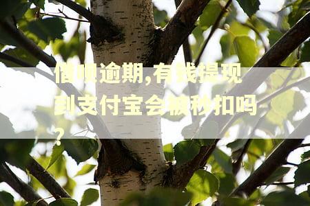 借呗逾期,有钱提现到支付宝会被秒扣吗?