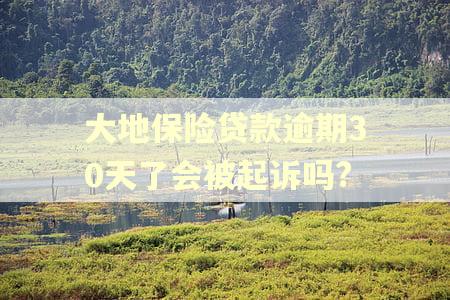 大地保险贷款逾期30天了会被起诉吗? 大地保险贷款逾期30天了会被起诉吗?