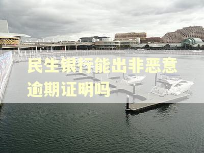 民生银行能出非恶意逾期证明吗