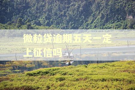 微粒贷逾期五天一定上征信吗 微粒贷逾期五天一定上征信吗