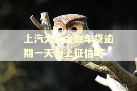 上汽大众金融车贷逾期一天会上征信吗