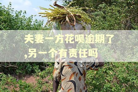 夫妻一方花呗逾期了,另一个有责任吗